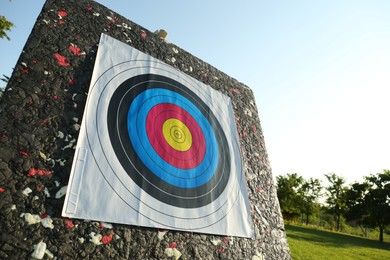 Photo of Archery target outdoors on summer day, closeup