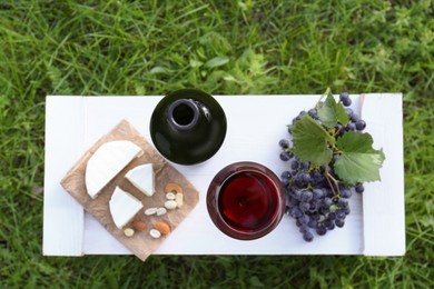 Red wine and snacks for picnic served on green grass outdoors, top view