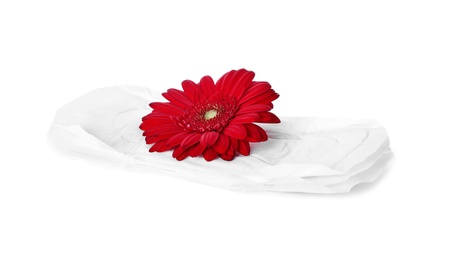 Menstrual pads and flower on white background. Gynecological care