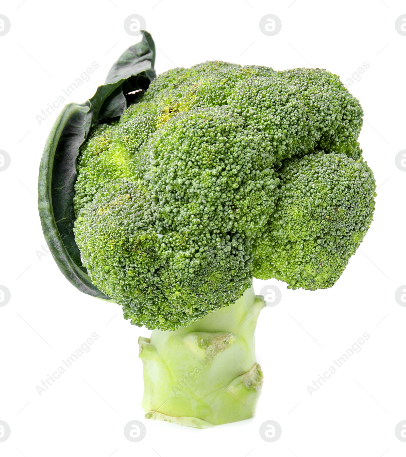 Photo of Fresh raw green broccoli isolated on white