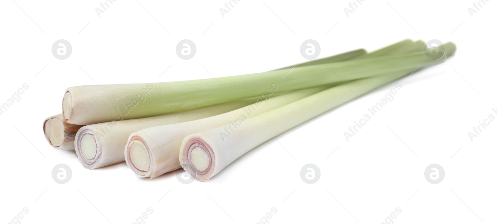 Photo of Bunch of fresh lemongrass on white background