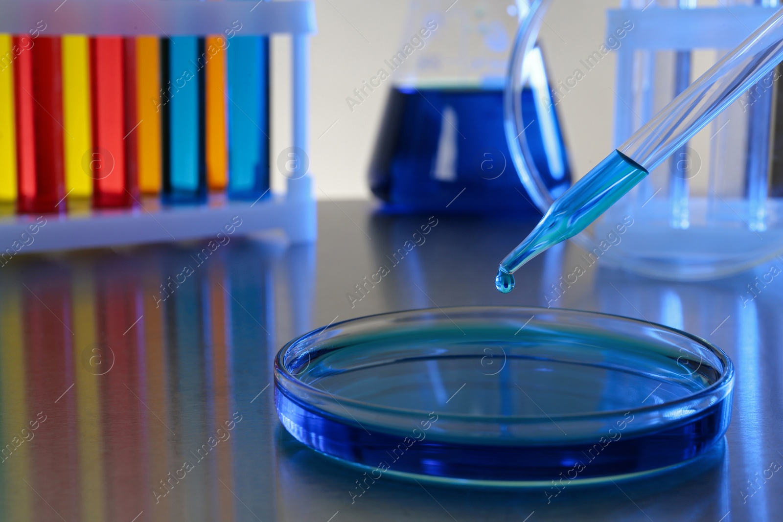Photo of Dripping blue liquid into Petri dish on grey table in laboratory, closeup. Space for text