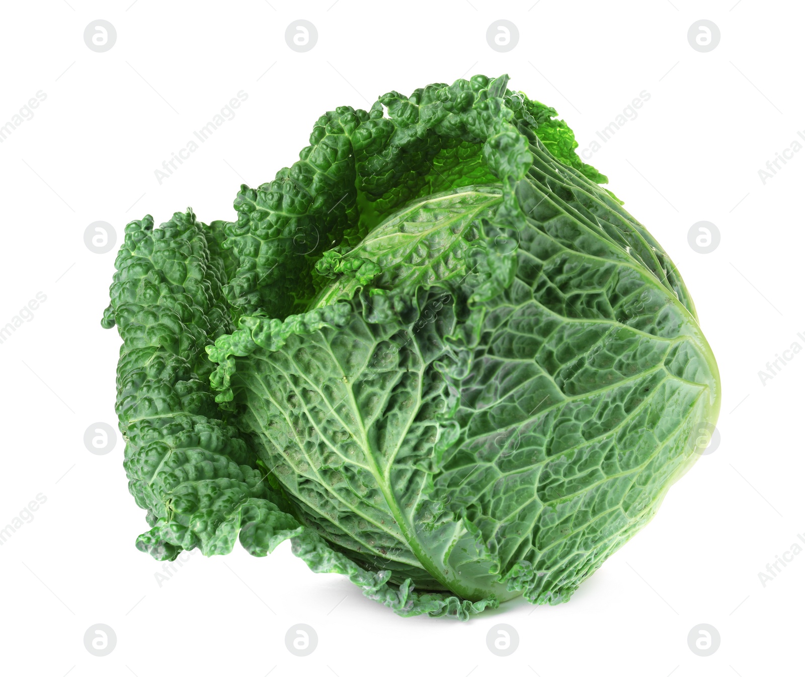 Photo of Fresh ripe savoy cabbage on white background