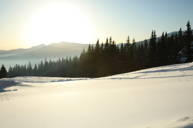 Photo of Picturesque view of conifer forest covered with snow on winter day