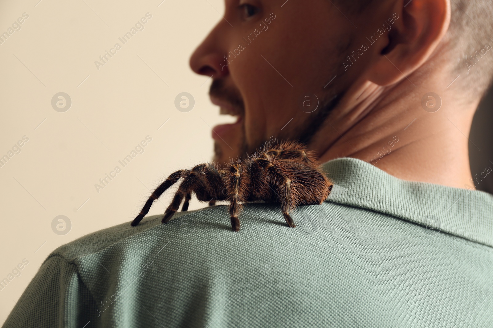 Photo of Scared man with tarantula on beige background, closeup. Arachnophobia (fear of spiders)