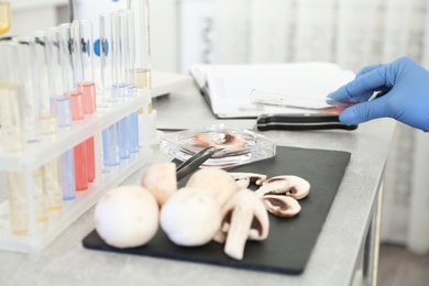 Photo of Scientist inspecting mushrooms at table in laboratory, closeup. Food quality control
