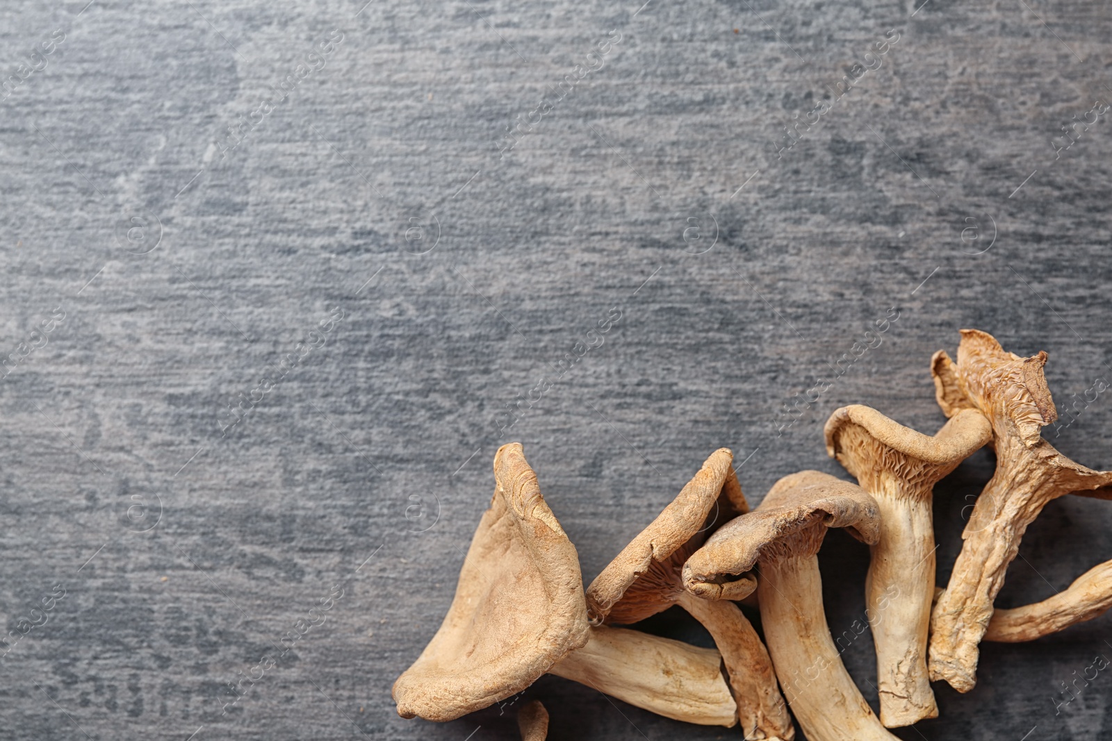 Photo of Dried mushrooms on color background, top view. Space for text