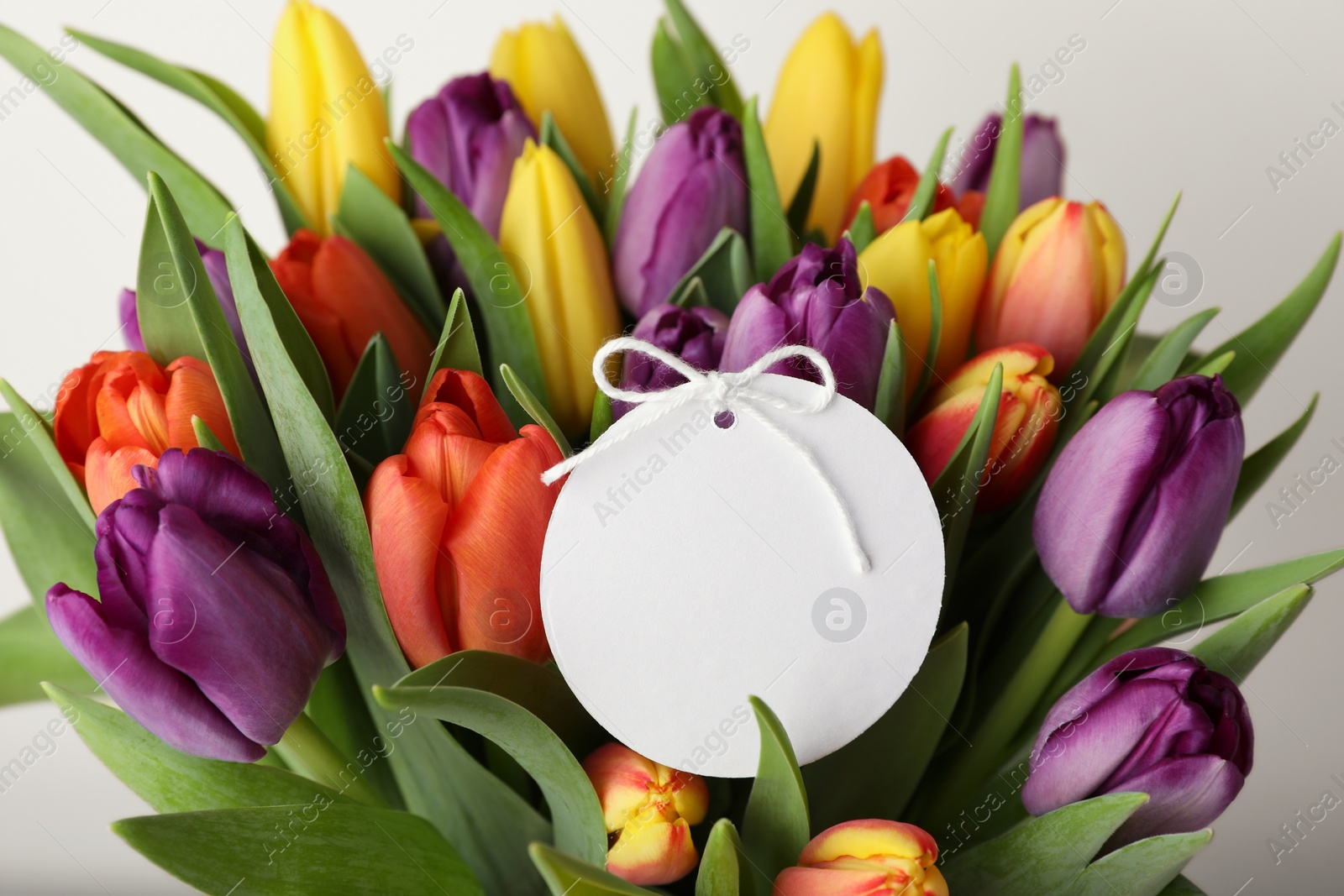 Photo of Bouquet of colorful tulips with blank card on white background, closeup