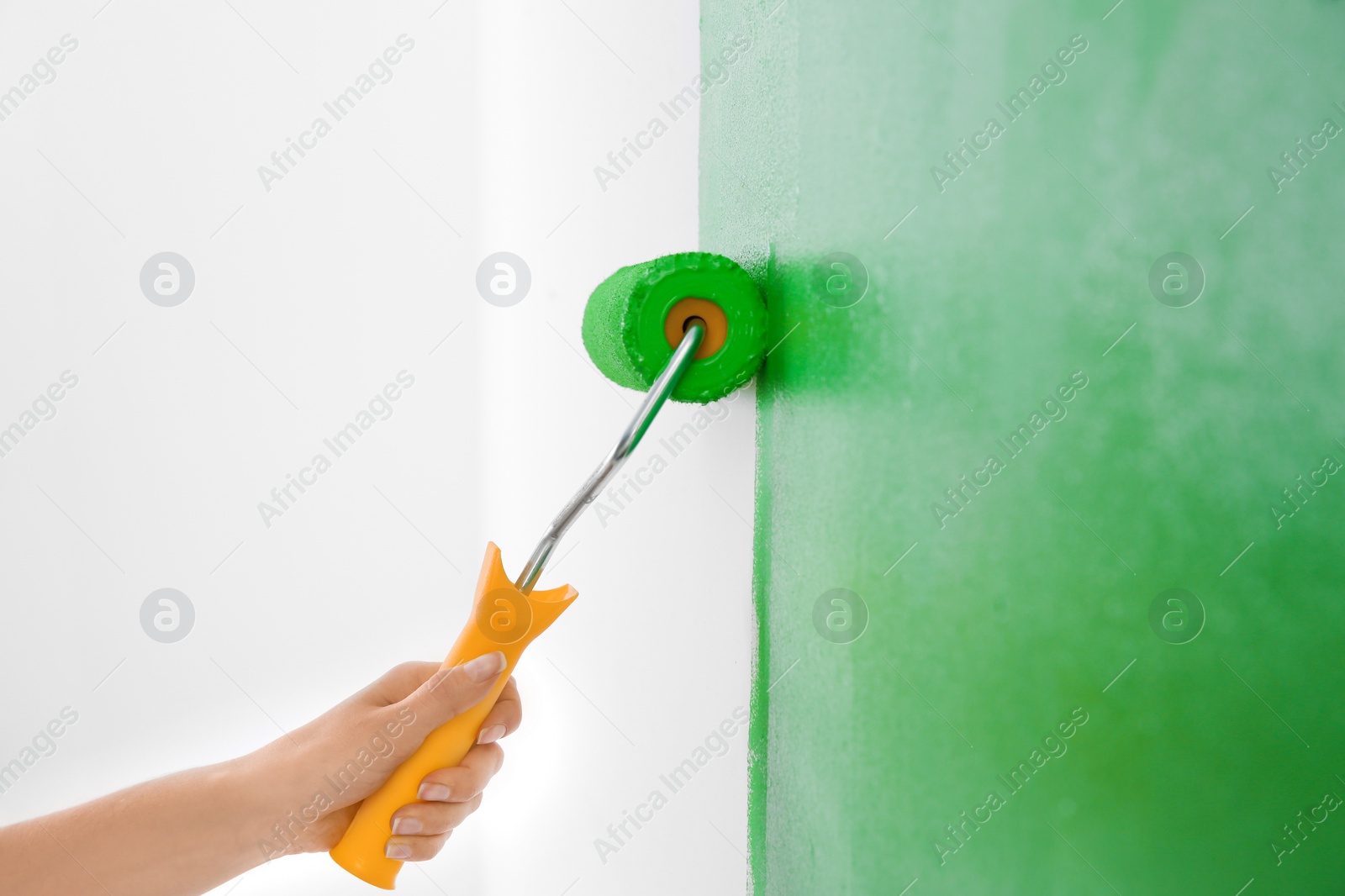 Photo of Woman painting white wall with green dye, closeup. Interior renovation