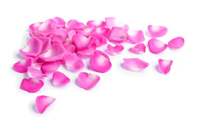 Photo of Many pink rose petals on white background