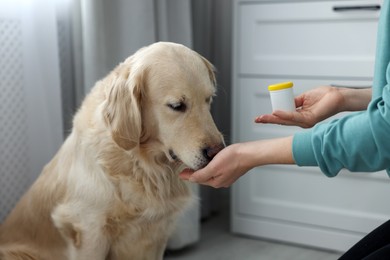 Woman giving pills to cute dog at home, closeup. Vitamins for animal