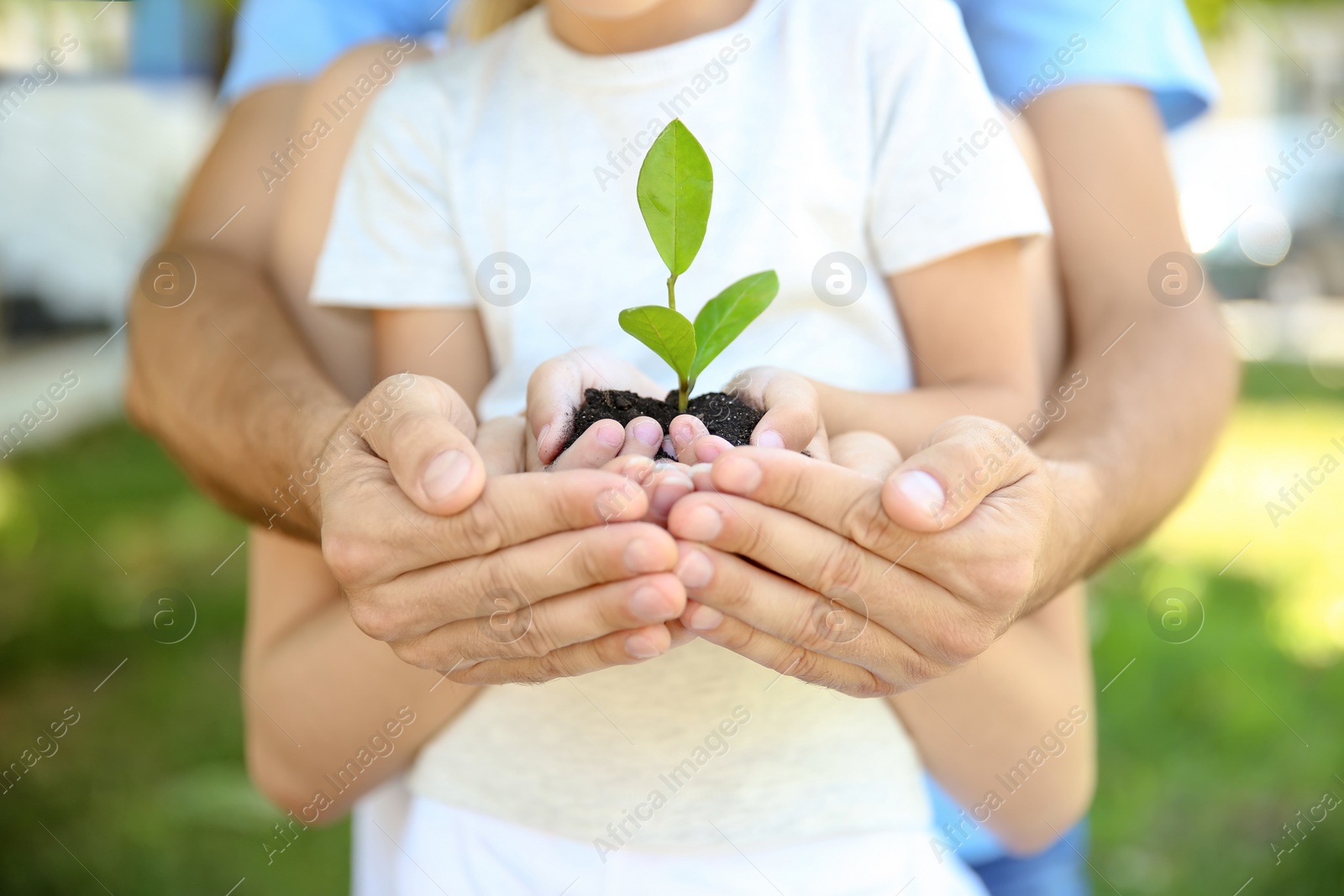 Photo of Family holding soil with green plant in hands on blurred background