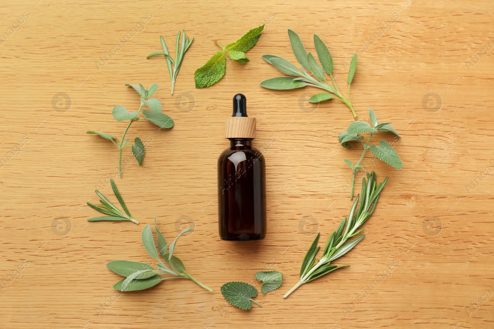 Photo of Flat lay composition with bottle of essential oil and fresh herbs