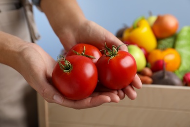 Photo of Farmer holding fresh ripe tomatoes on blue background, closeup. Harvesting time