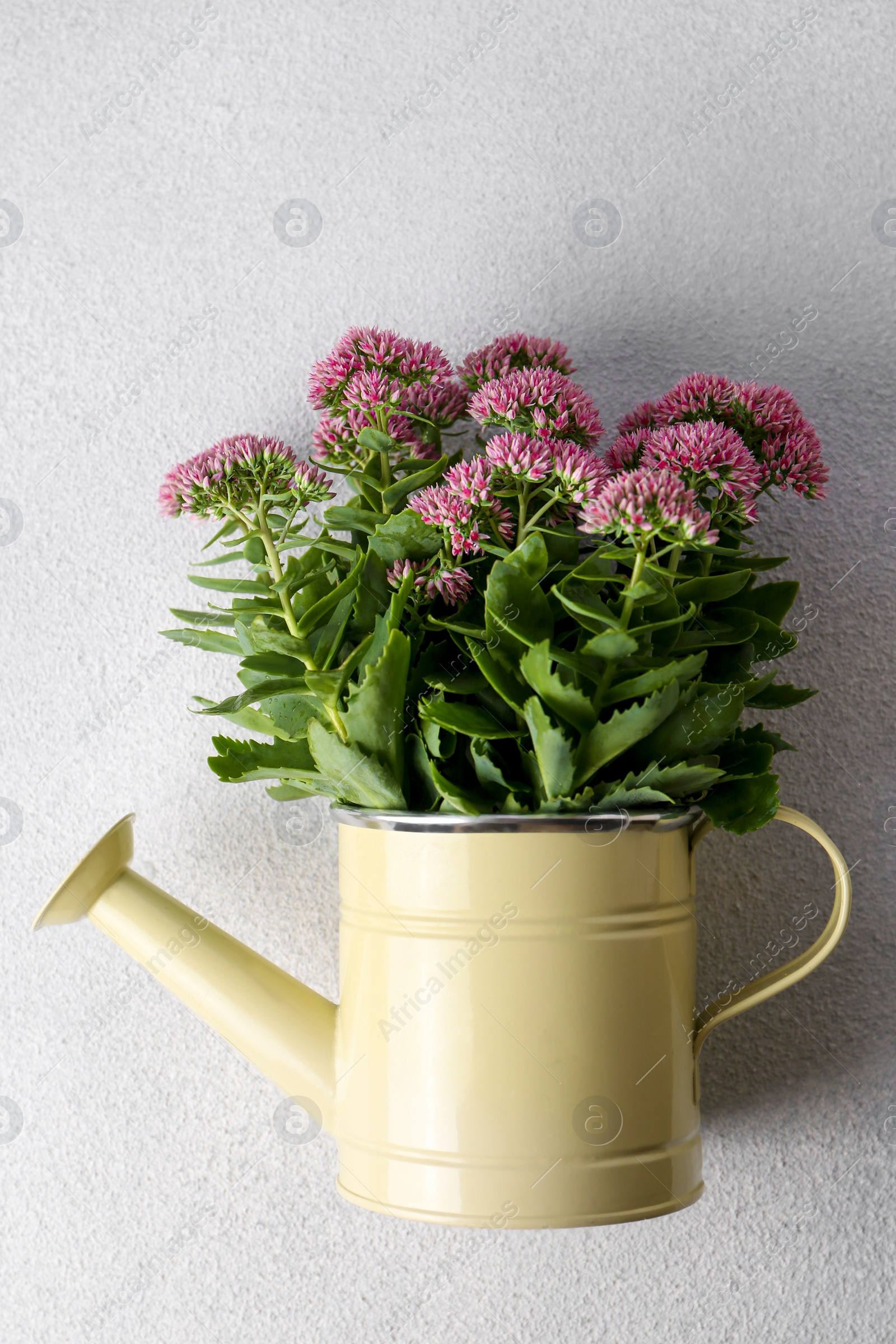 Photo of Beautiful bouquet of pink wildflowers in watering can on white table, top view