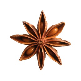 Dry anise star with seeds isolated on white