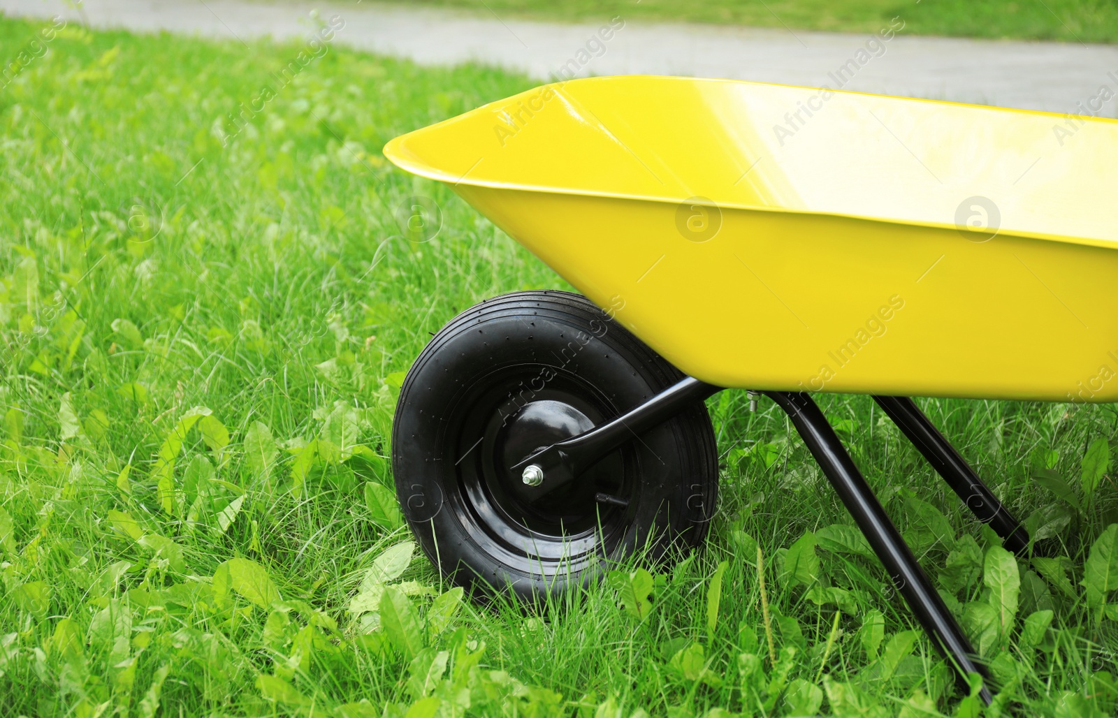 Photo of Yellow wheelbarrow on green grass outdoors. Gardening tool