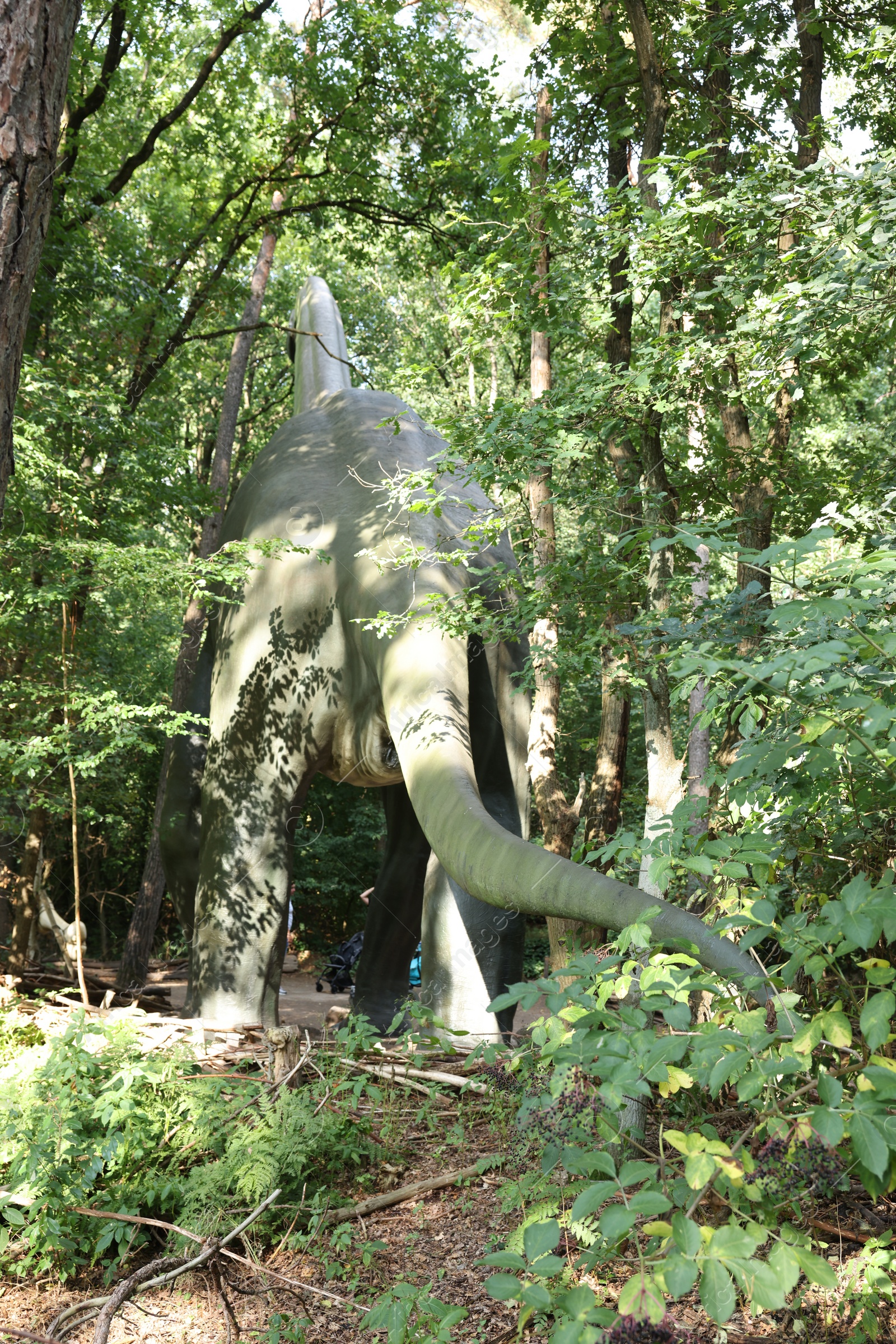 Photo of Amersfoort, the Netherlands - August 20, 2022: Brachiosaurus in DierenPark outdoors