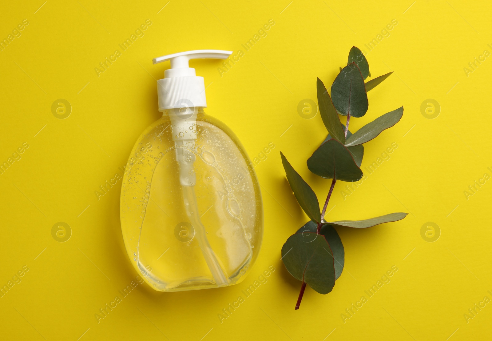 Photo of Bottle of liquid soap and eucalyptus branch on yellow background, flat lay