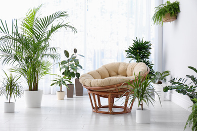Photo of Stylish room interior with beautiful plants. Home design idea
