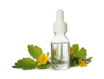 Photo of Bottle of essential oil and celandine on white background