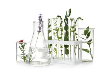 Photo of Test tubes and other laboratory glassware with different plants on white background