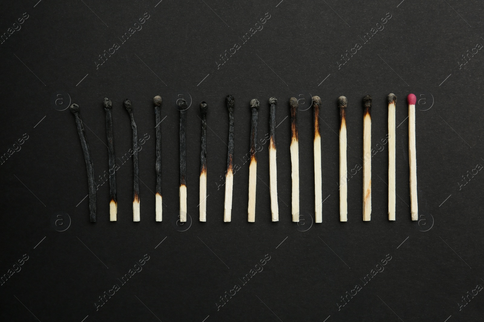 Photo of Row of burnt matches and whole one on black background, flat lay. Human life phases concept