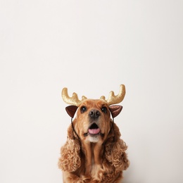 Photo of Adorable Cocker Spaniel dog in reindeer headband on white background, space for text