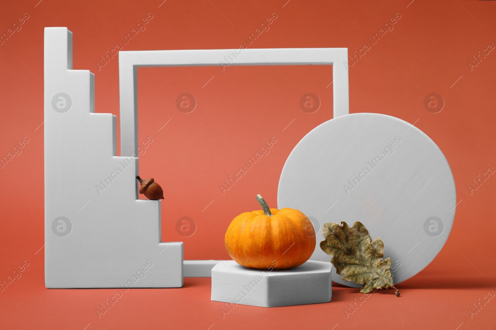 Photo of Stylish presentation for product. White geometric figures and autumn decoration on coral background