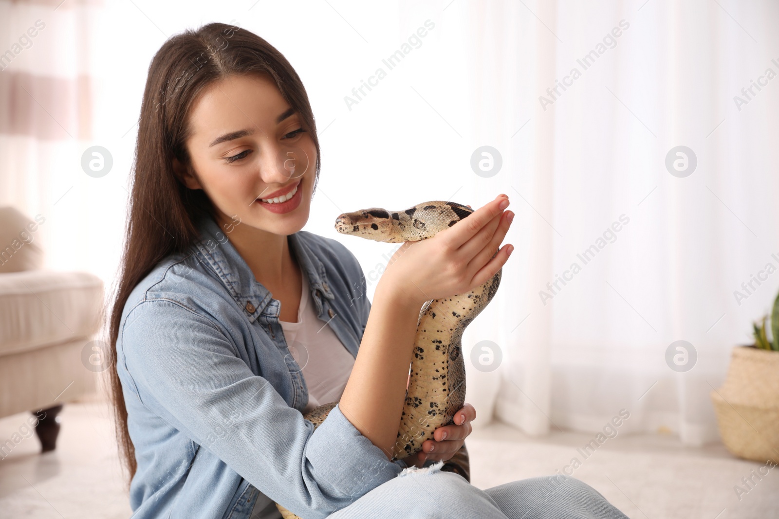 Photo of Young woman with her boa constrictor at home. Exotic pet