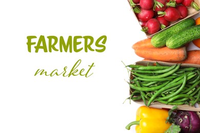 Assortment of fresh vegetables on white background, top view. Farmers market