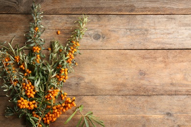 Photo of Branches of sea buckthorn on wooden table, flat lay. Space for text