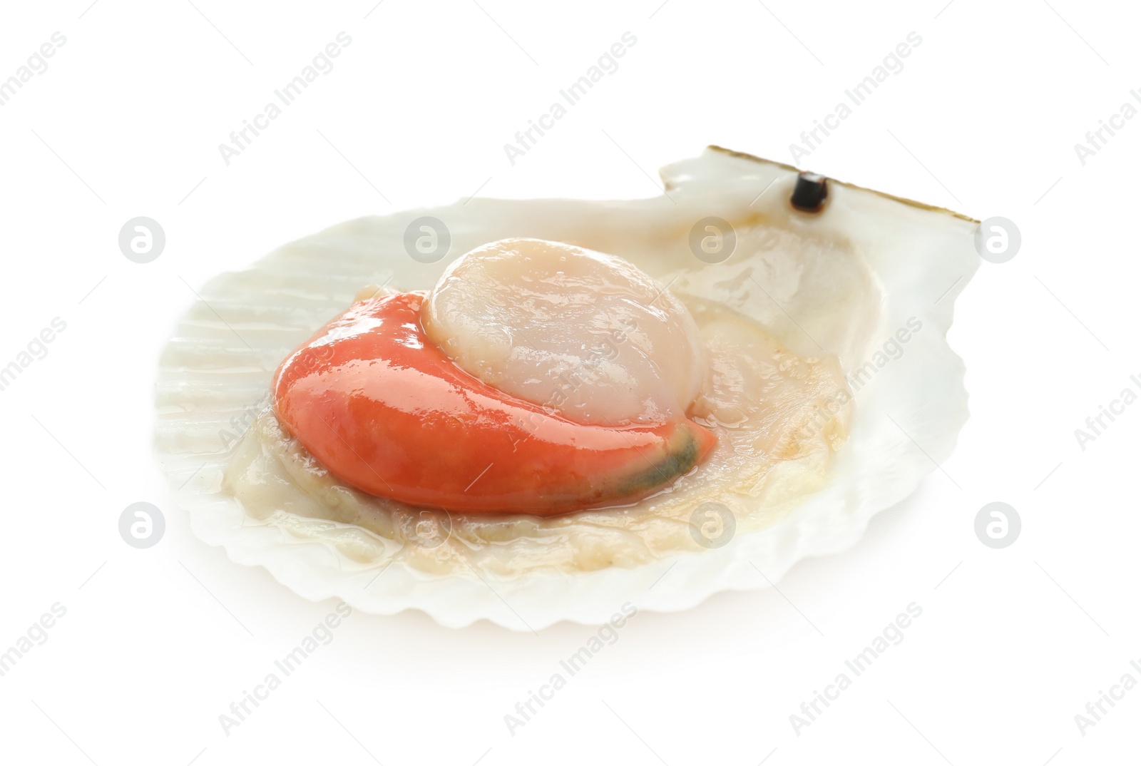 Photo of Fresh raw scallop in shell isolated on white