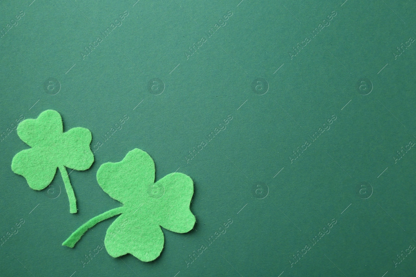 Photo of St. Patrick's day. Decorative clover leaves on green background, flat lay. Space for text