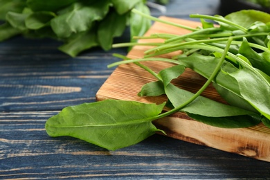 Photo of Fresh green sorrel leaves on blue wooden table, closeup
