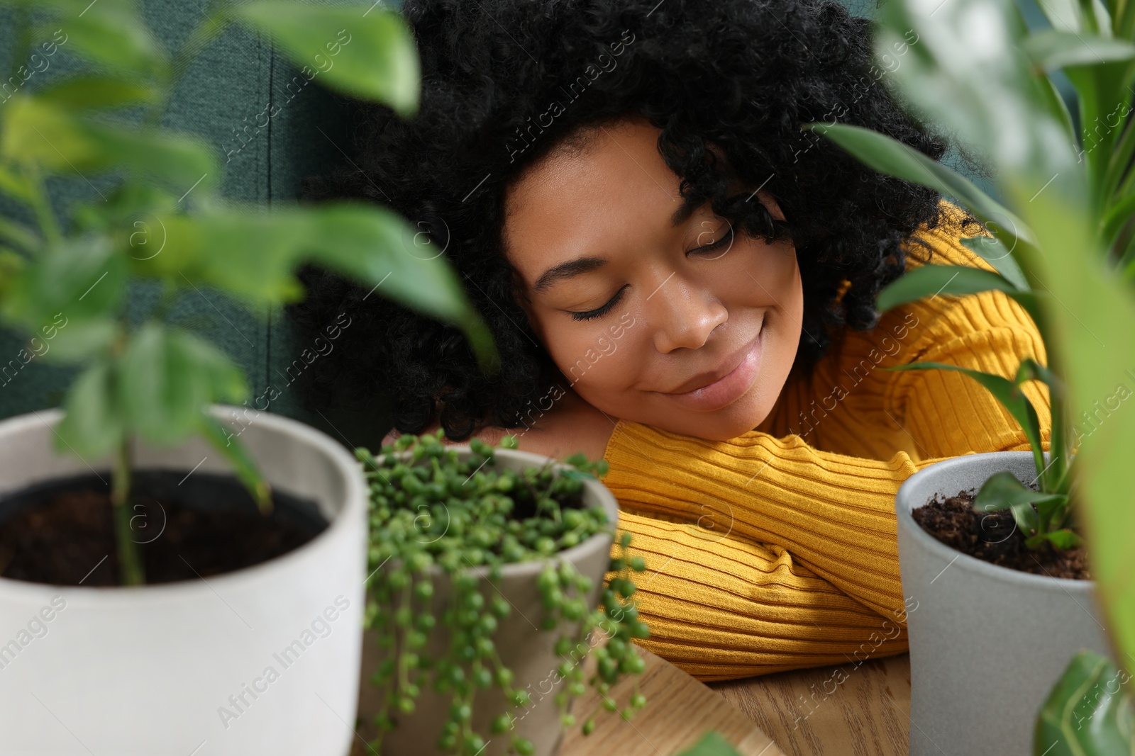 Photo of Relaxing atmosphere. Woman near potted houseplants indoors