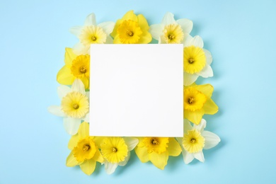 Flat lay composition with daffodils and card on color background, space for text. Fresh spring flowers