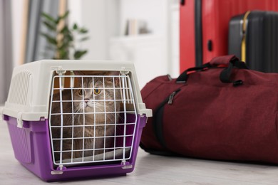 Photo of Travel with pet. Cute cat in carrier and bag at home