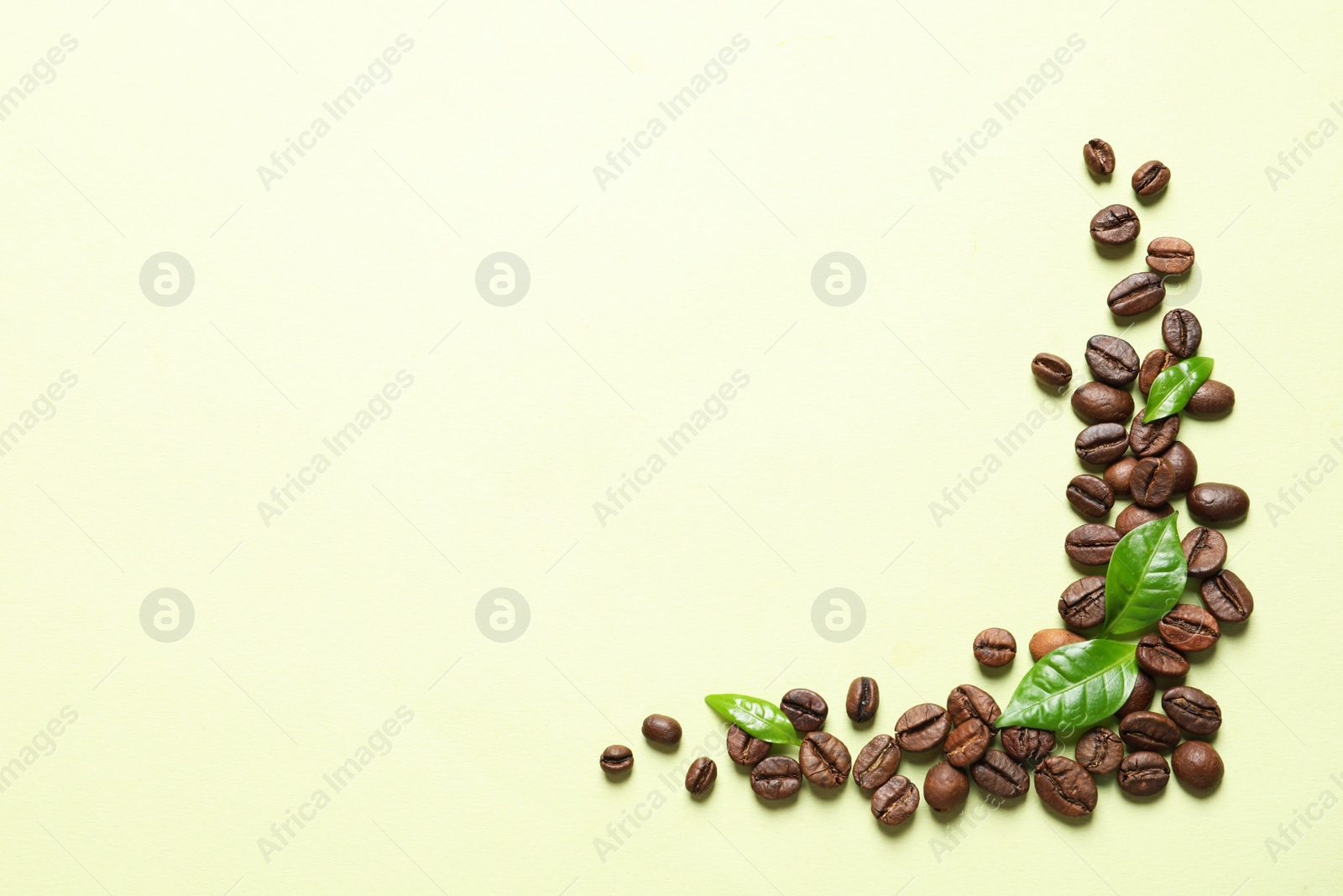 Photo of Fresh green coffee leaves and beans on light green background, flat lay. Space for text