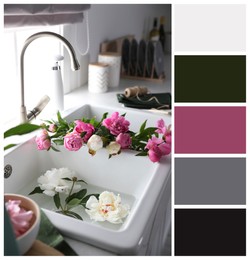 Bunch of beautiful peonies in sink and color palette. Collage