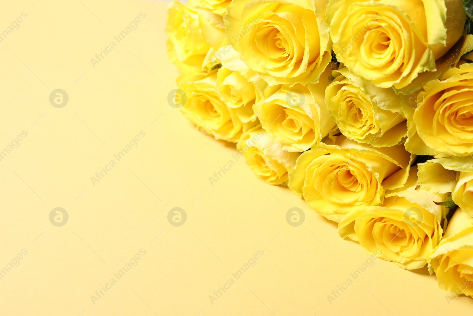 Photo of Beautiful bouquet of roses on beige background, space for text