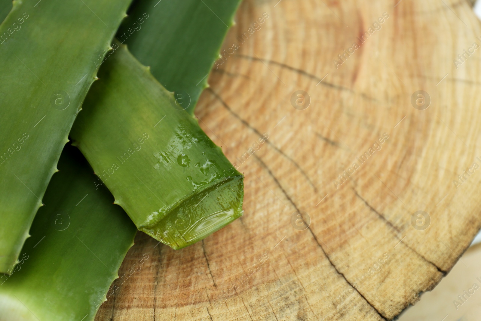 Photo of Fresh cut aloe vera leaves with dripping juice on wooden stump, above view. Space for text