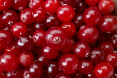 Fresh ripe cranberries as background, top view