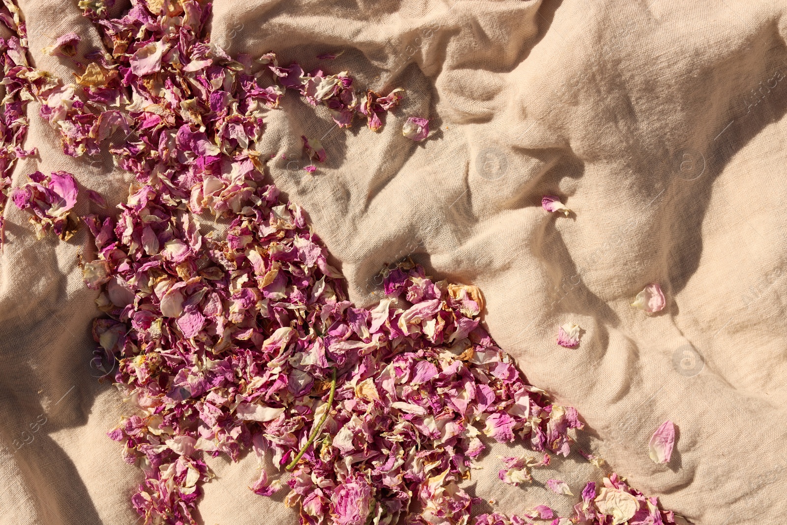 Photo of Scattered dried tea rose flowers and petals on beige fabric, top view