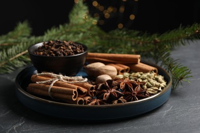 Dishware with different spices, nuts and fir branches on gray table, closeup