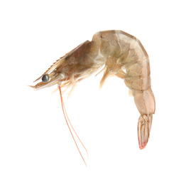 Fresh raw shrimp isolated on white. Healthy seafood