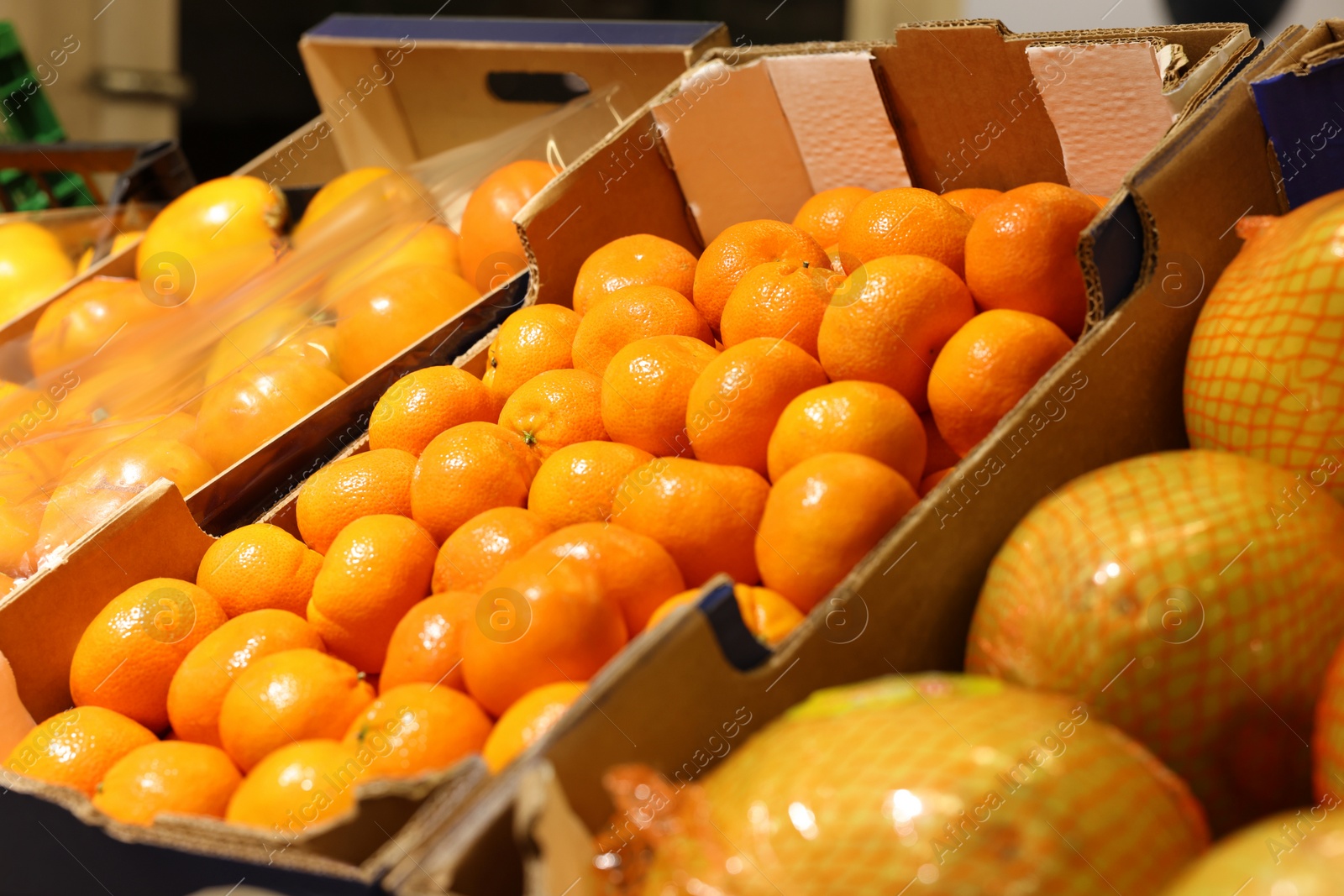 Photo of Many different fresh fruits on counter at wholesale market