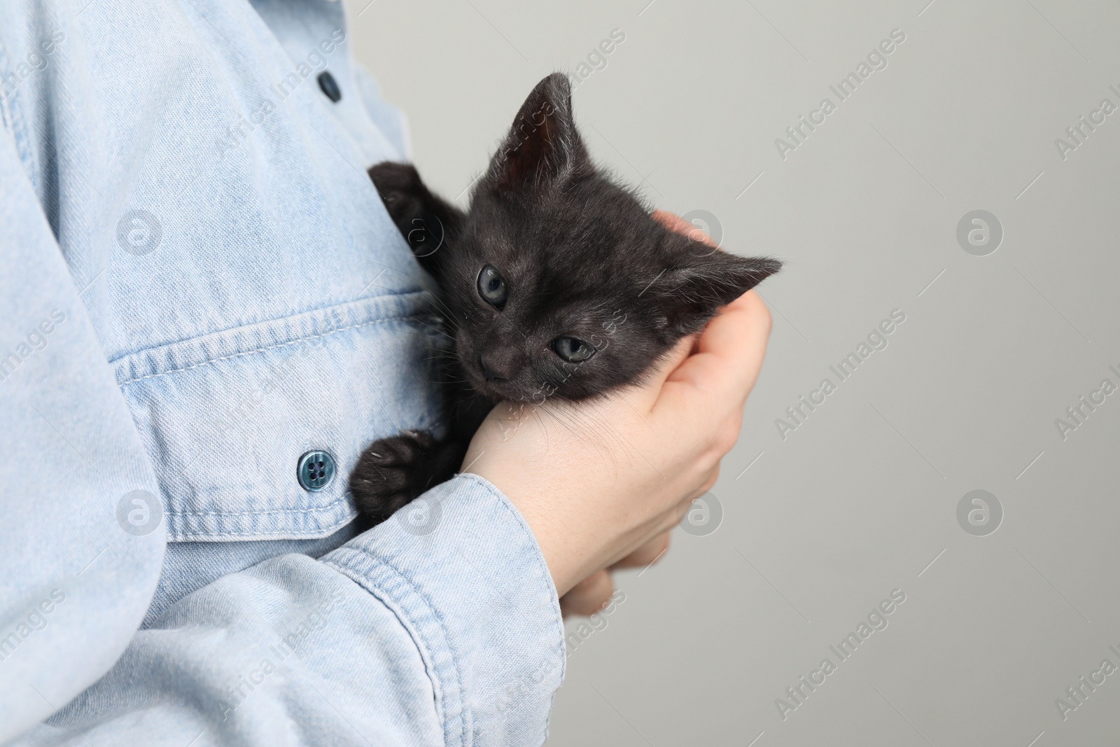 Photo of Woman with cute fluffy kitten on grey background, closeup. Space for text