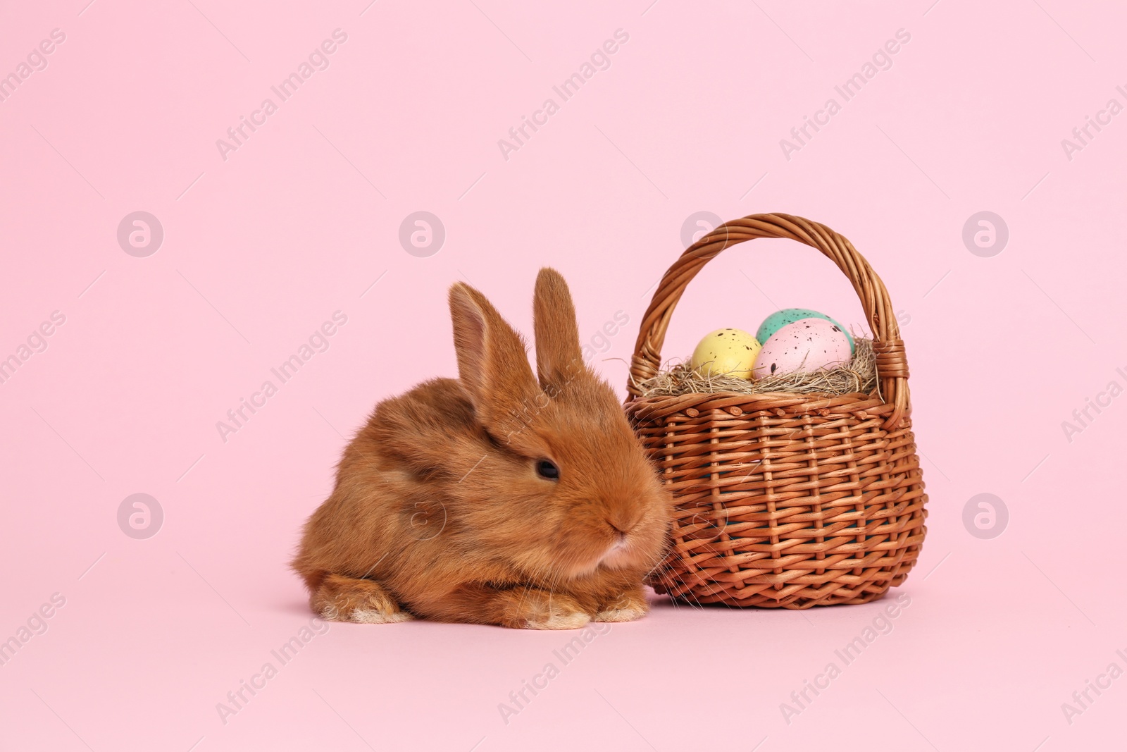 Photo of Adorable fluffy bunny near wicker basket with Easter eggs on pink background
