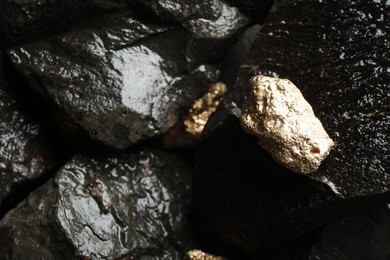 Shiny gold nuggets on wet stones, above view